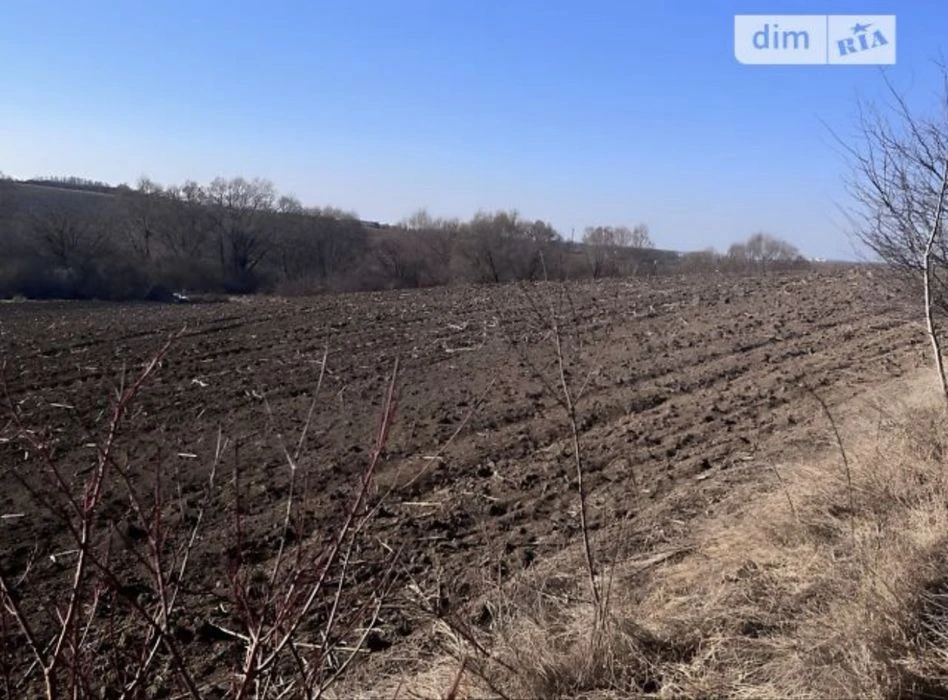 Продаж земельноі ділянки 6825083300:06:018:0668