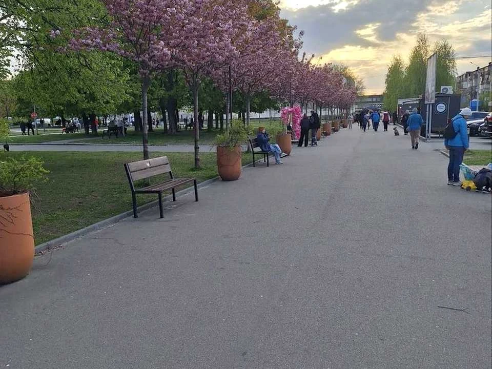 Квартира. Дніпро, Петра Калнишевського просп. (Косіора)