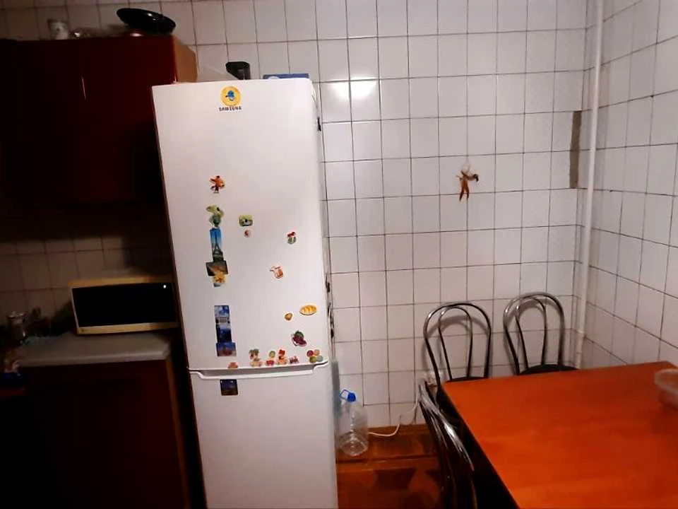 Apartment. Kharkiv, Tytarenkovskyi lane.