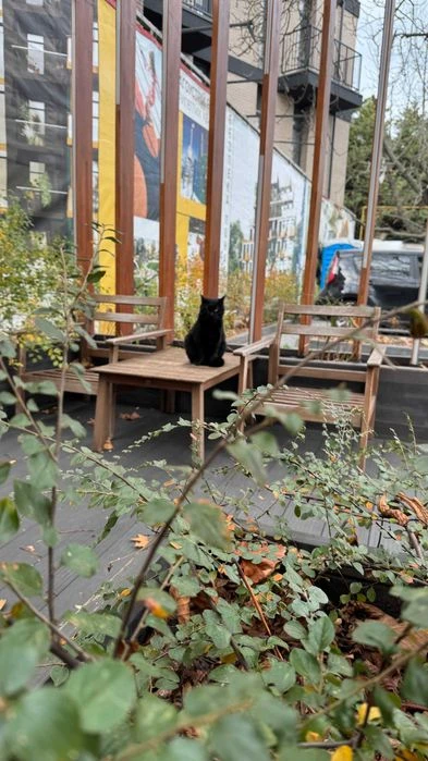 47 кв м с террасой.
