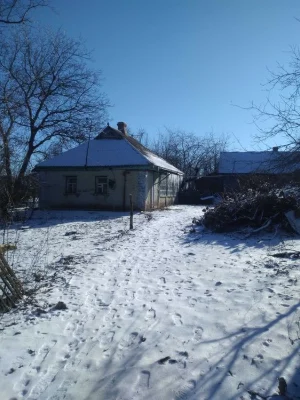 Будинок з земельною ділянкою