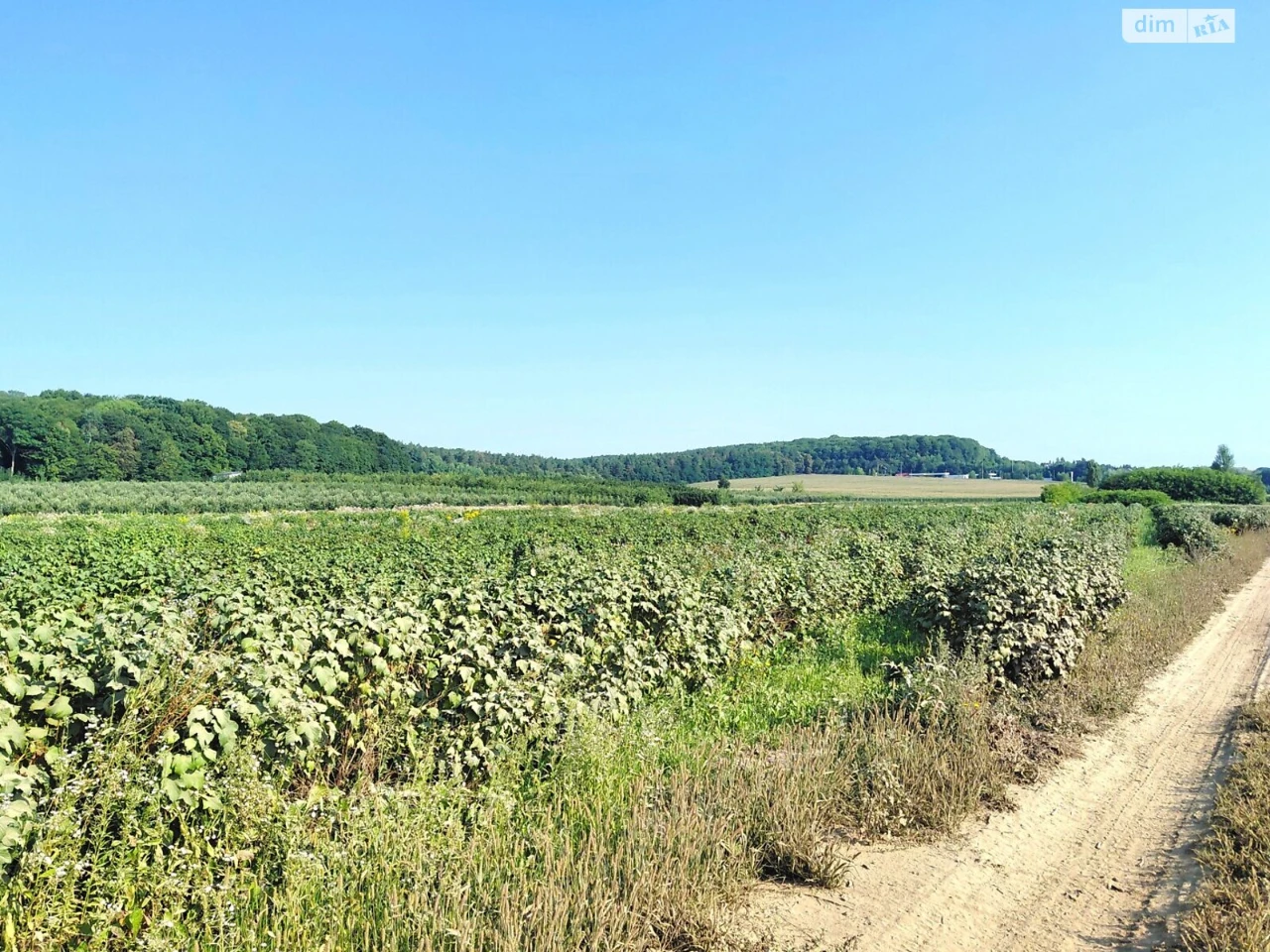 Продаж Ділянка під житлову забудову Київська