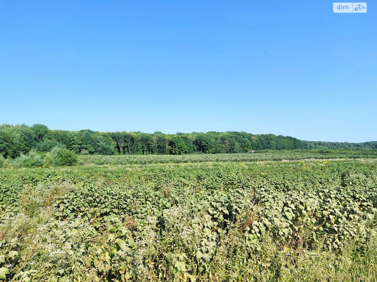 Продаж Ділянка під житлову забудову Київська