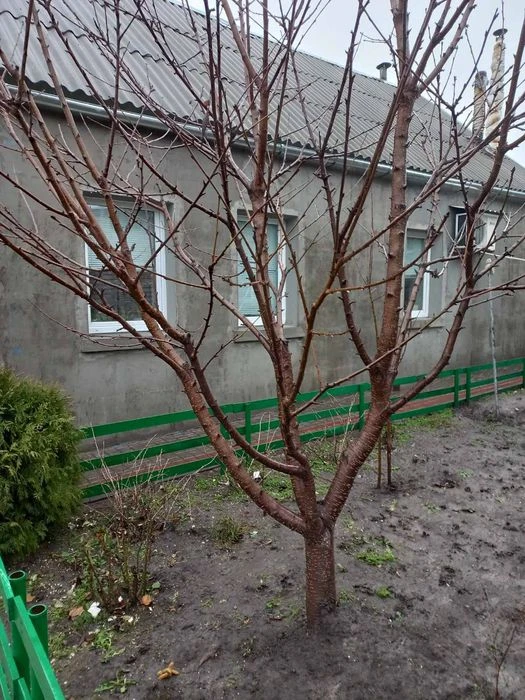 Продам дом на правом