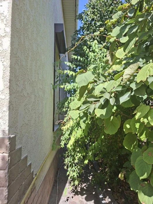 A cozy house in Tairovo, the sea is within walking distance, the district of streets