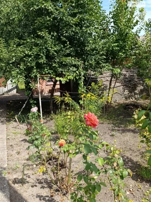 Продаж Дім Гречани дальні
