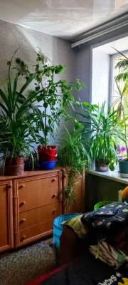 FOR SALE 1-room apartment on Voiskbud Street