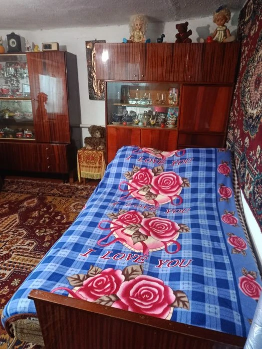 Отдельное здание+ 8 соток,ближние Бучмы, срочно
