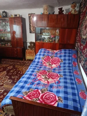 Отдельное здание+ 8 соток,ближние Бучмы, срочно