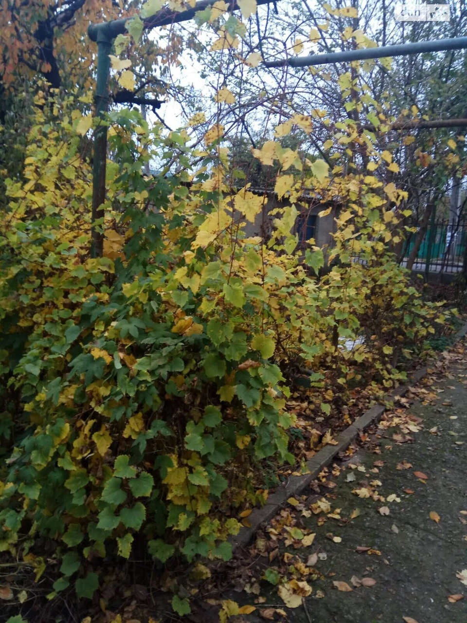 Долгосрочная Аренда Часть дома Черноморка