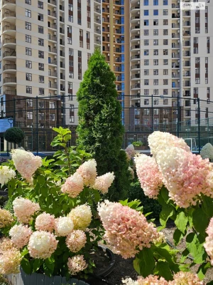 Продажа Квартира Ближние Мельницы