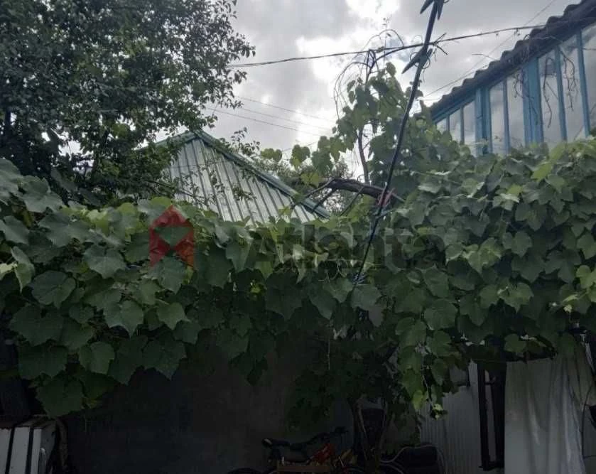 Квартира на земле со своим двором на Рихтере