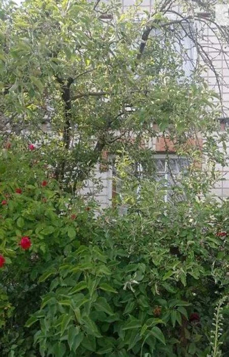 (7) Sale of a country house (5813)