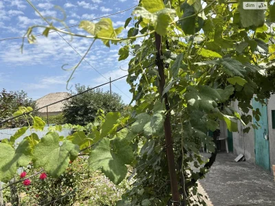 Продаж Ділянка під житлову забудову Київський