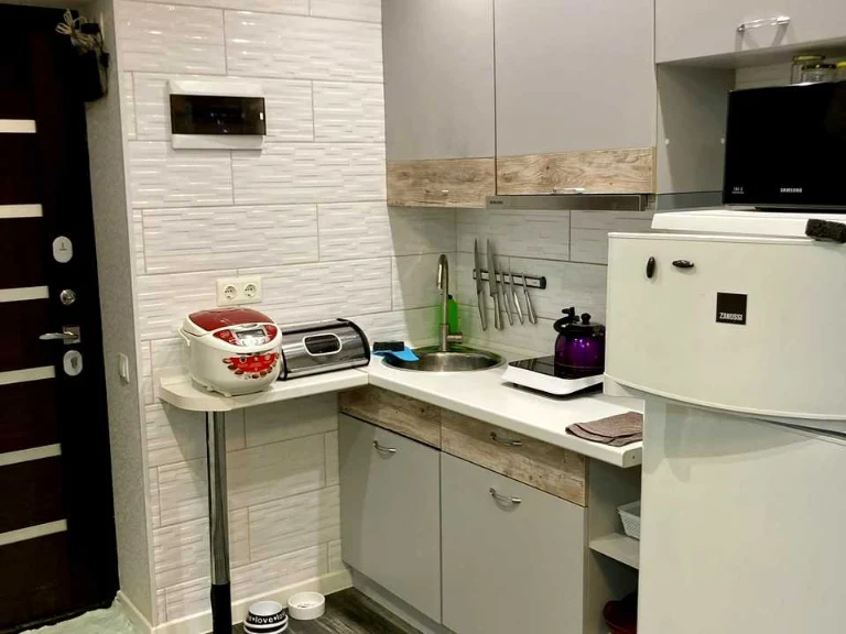 Apartment. Kharkiv, Bortkevycha St.