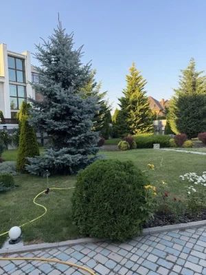 OWNER'S house for sale in Sauvignon, basement, garage, swimming pool