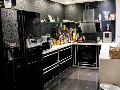 Apartment. Kharkiv, 23 Serpnya St.