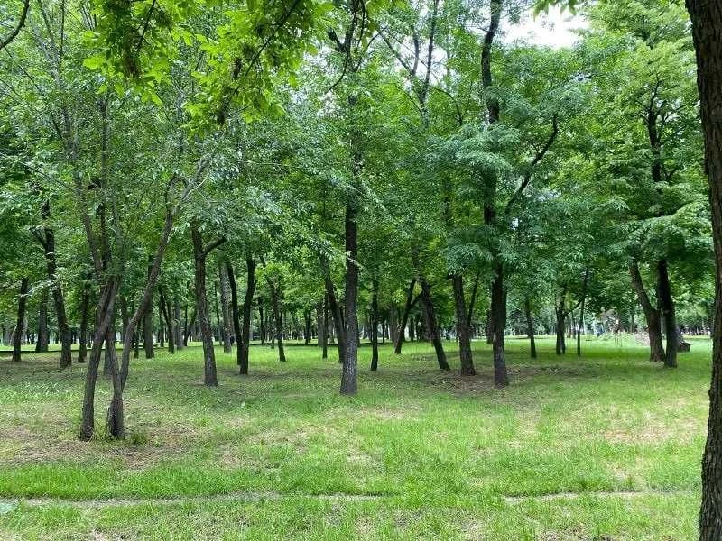 Apartment for sale 70m2 in the park in the FOREST HILL residential area.