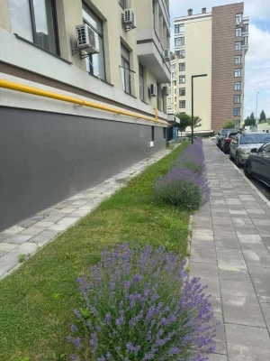 For sale 1 room Holosiivskyi district, Parkland residential complex, Yunatskaya street, building 6