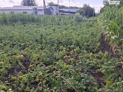 Продаж Земля сільськогосподарського призначення Замостянськи
