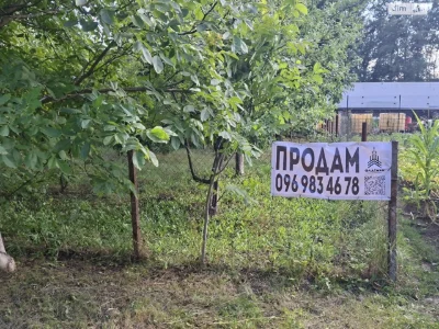 Продаж Земля сільськогосподарського призначення Замостянськи