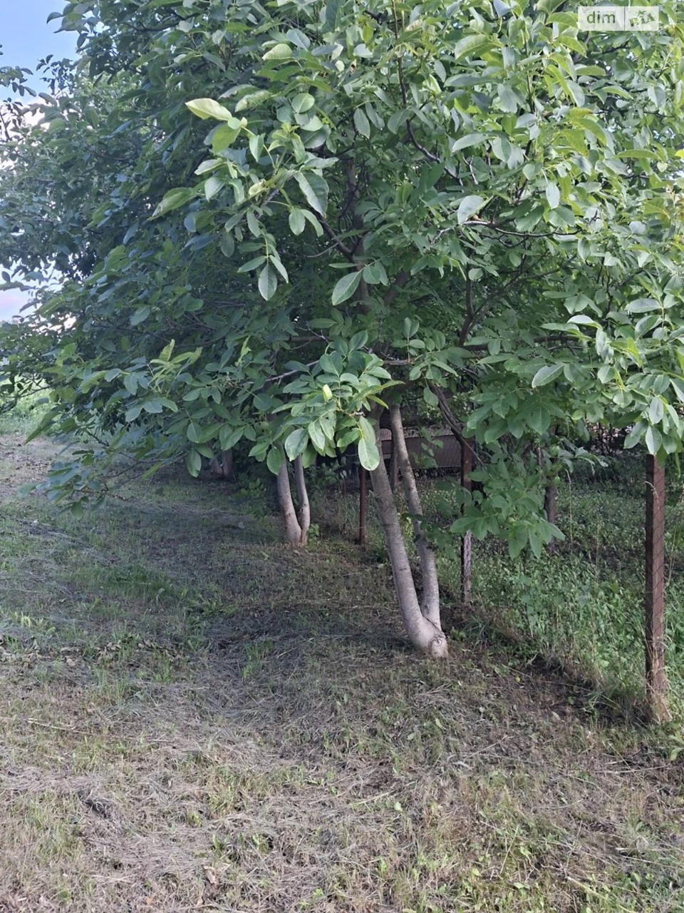 Продаж Земля сільськогосподарського призначення Замостянськи