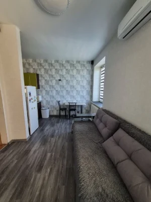 Selling a one-room apartment near Shevchenko Plant, Academician Bogomo Street
