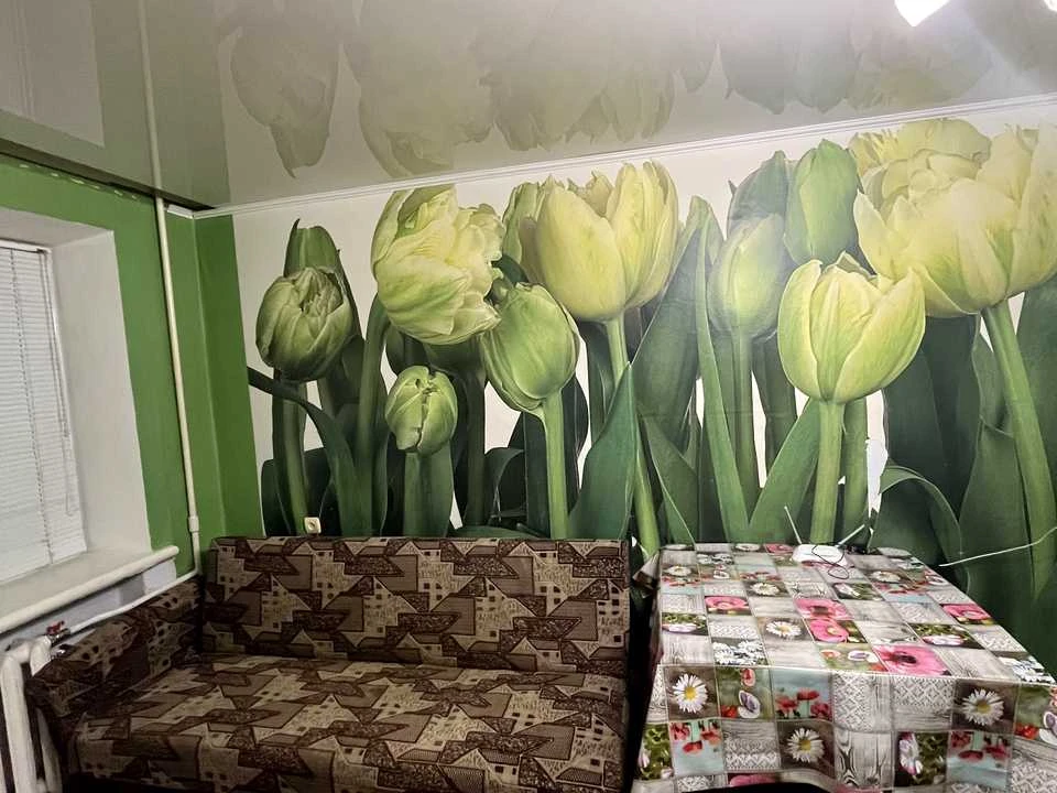 Квартира. Житомир, Князів Острозьких вул.