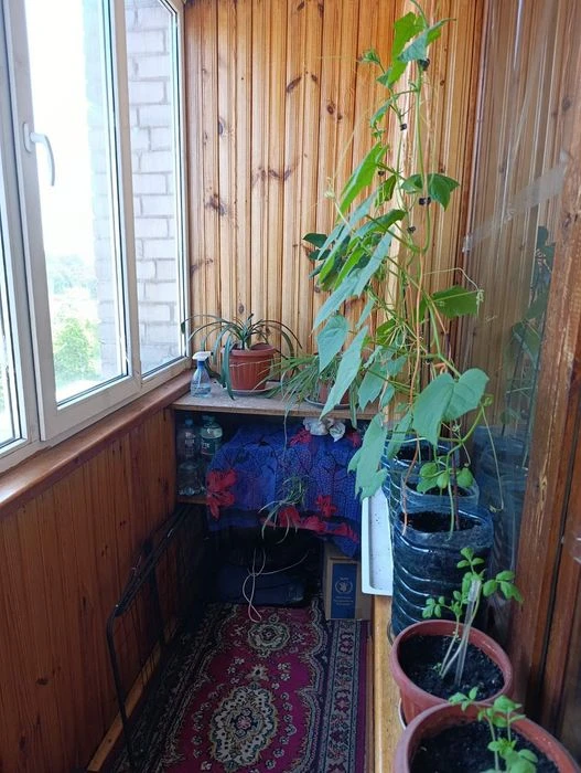 Продам квартиру 3-х комн Фестивальная