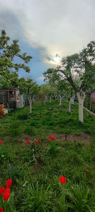 Продам 1/2 будинку в Центрі