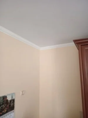 1 sq m for sale, in the Podilskyi district.