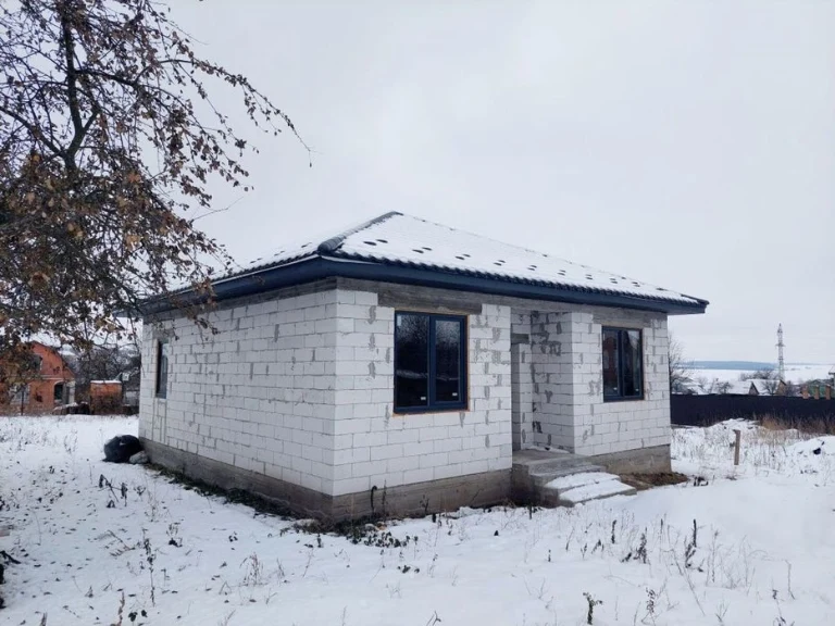 Будинок за ціною квартири! Світлий будинок Раково є ТОРГ! 31