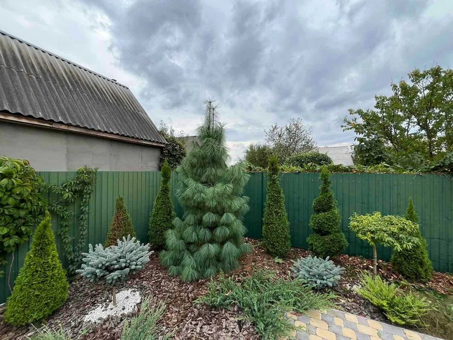 House for sale Pyatnychany district 2816