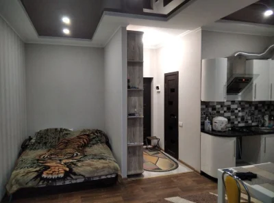 Selling a 1-room studio apartment with independent heating from the owner.