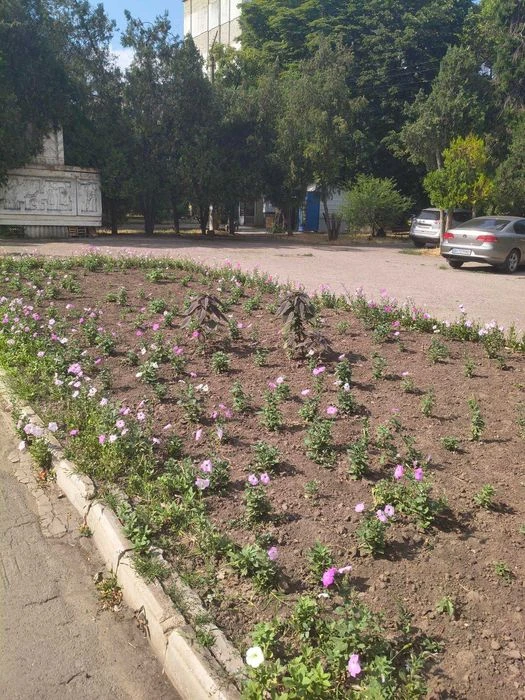 A promising apartment in Cheremushki. K-90
