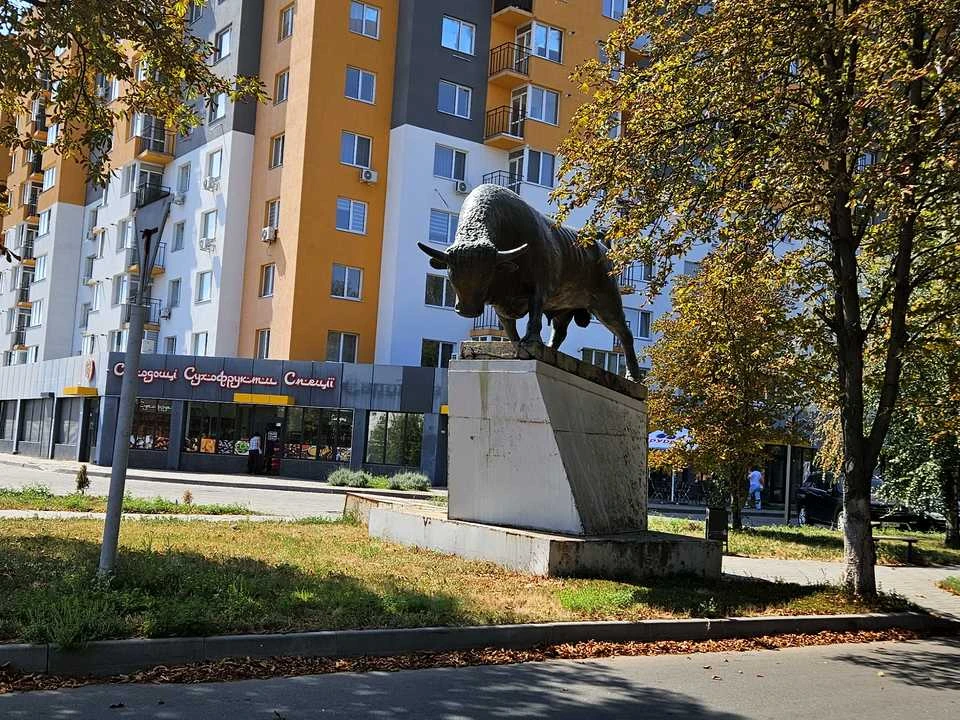 Квартира. Черкаси, Смілянська вул., (Будинок)