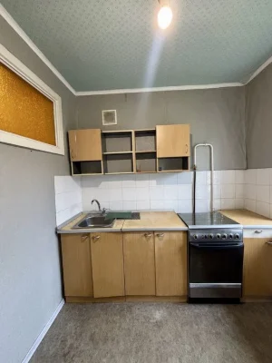 For sale 1-room apartment in Yalytsevyi/Pikhtovyi/Zeleny gai lane