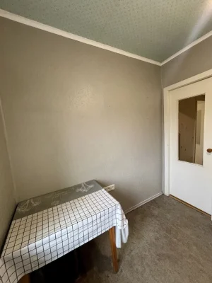 For sale 1-room apartment in Yalytsevyi/Pikhtovyi/Zeleny gai lane