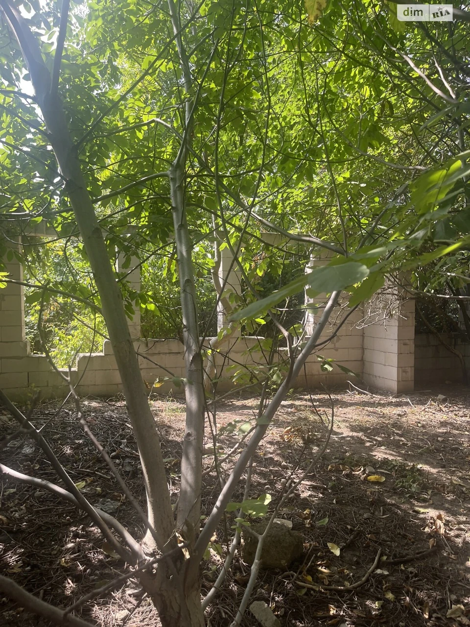 For sale Land for residential development Khadzhibeyskyi