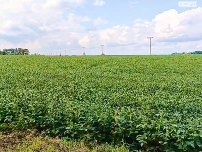 Продаж Земля сільськогосподарського призначення