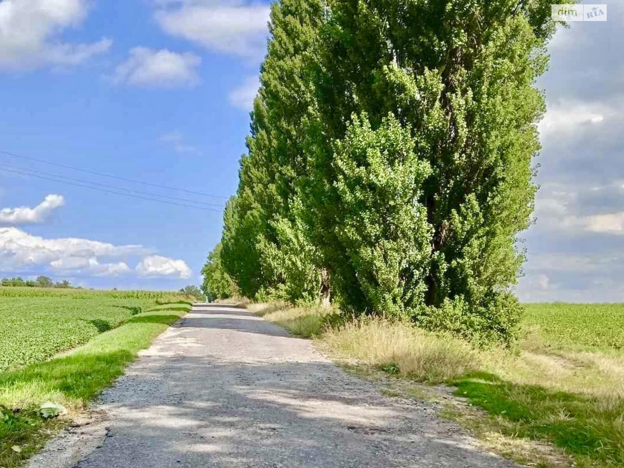 Продаж Земля сільськогосподарського призначення