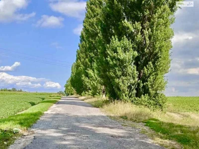 Продаж Земля сільськогосподарського призначення