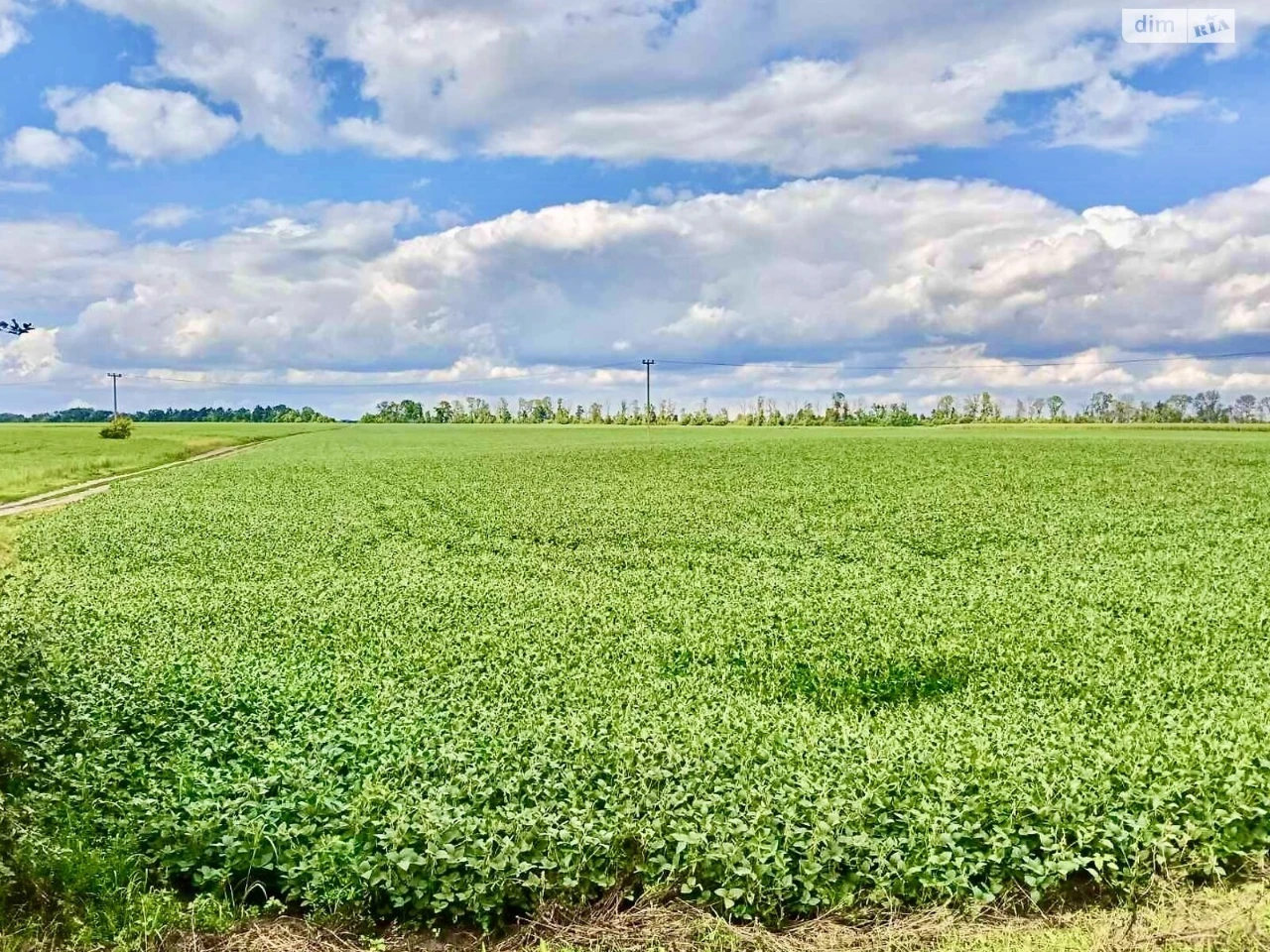 Продаж Земля сільськогосподарського призначення