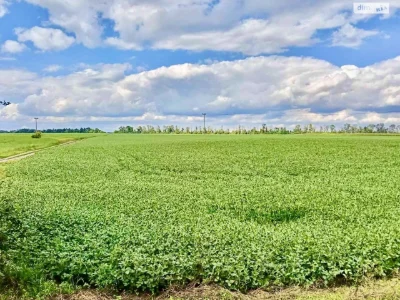 Продаж Земля сільськогосподарського призначення