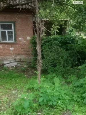 Продаж Частина будинку Колонія