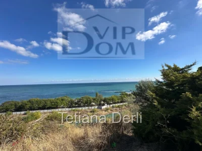 House with a view of the sea, Первая линия 14 acres of land. Fountain