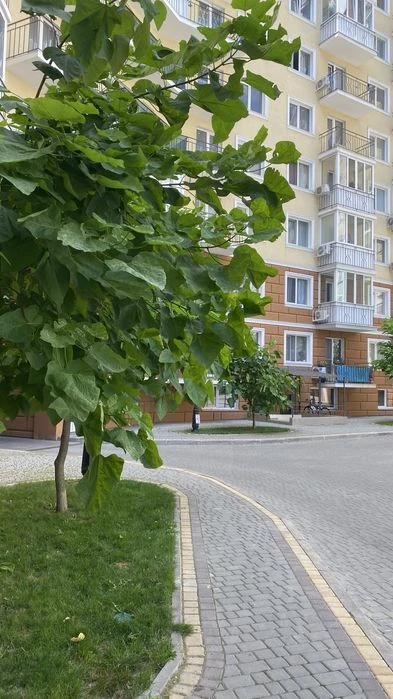 Продам 1-комнатную квартиру в новом доме р-н.