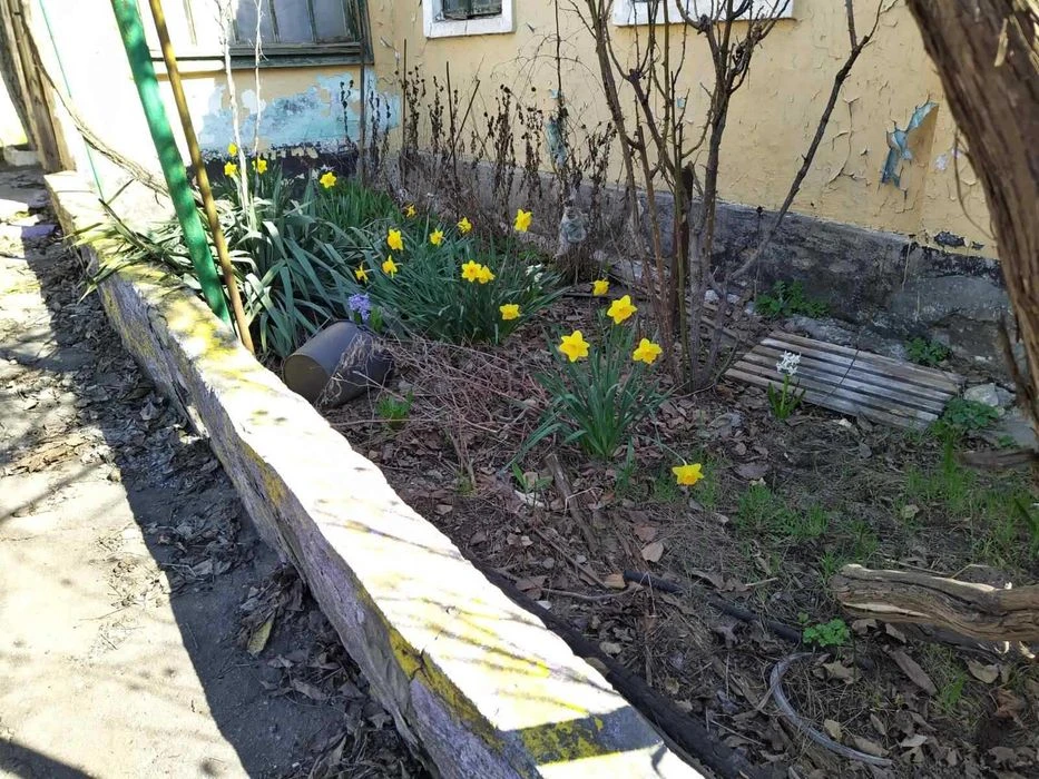 Продам участок на Кривой Балке Слободка. Срочно