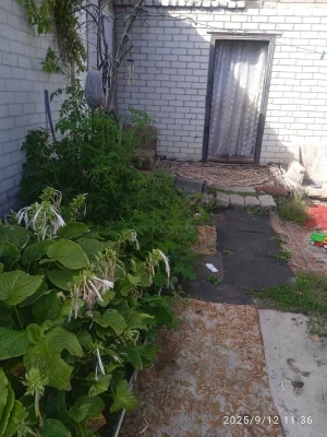 Продаж Частина будинку