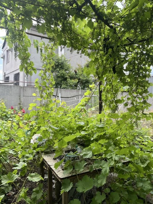 Продаж будинку вул.Соснова